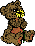 Bear-Daisy